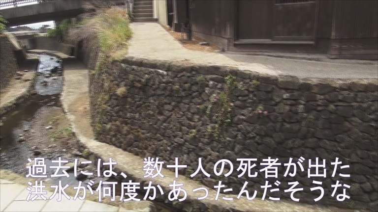 イメージ 41