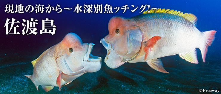 イメージ 24