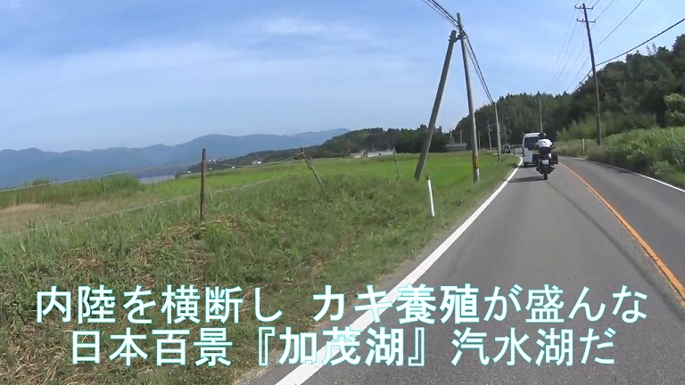 イメージ 7