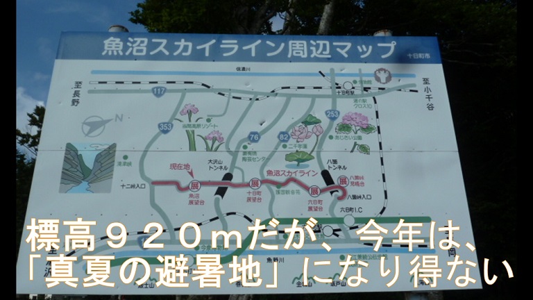 イメージ 22