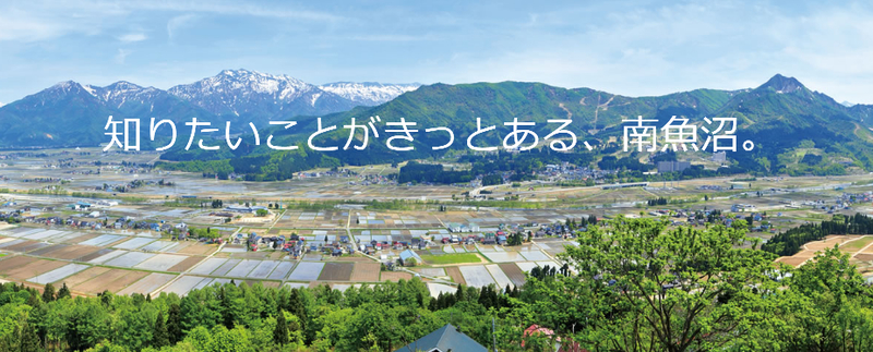 イメージ 33