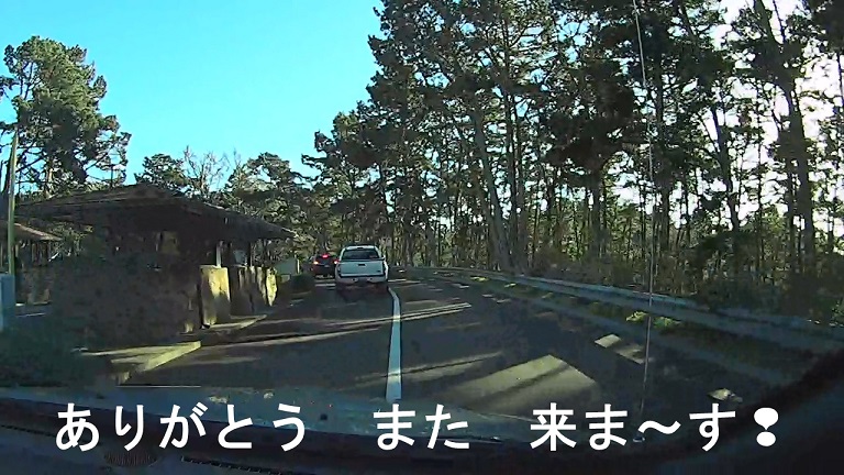 イメージ 11