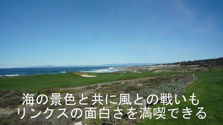 イメージ 10