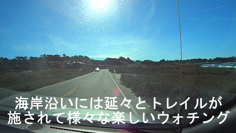 イメージ 14