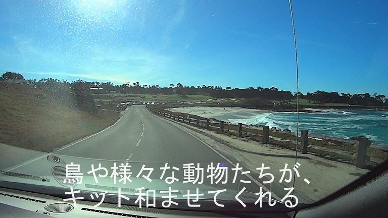 イメージ 16