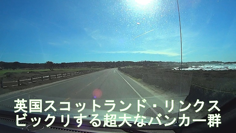 イメージ 7