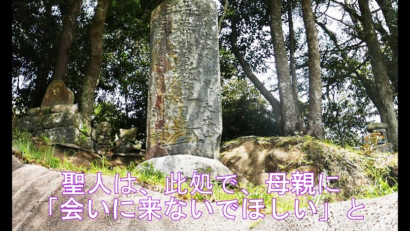 f:id:ek0901:20190808081524j:plain
