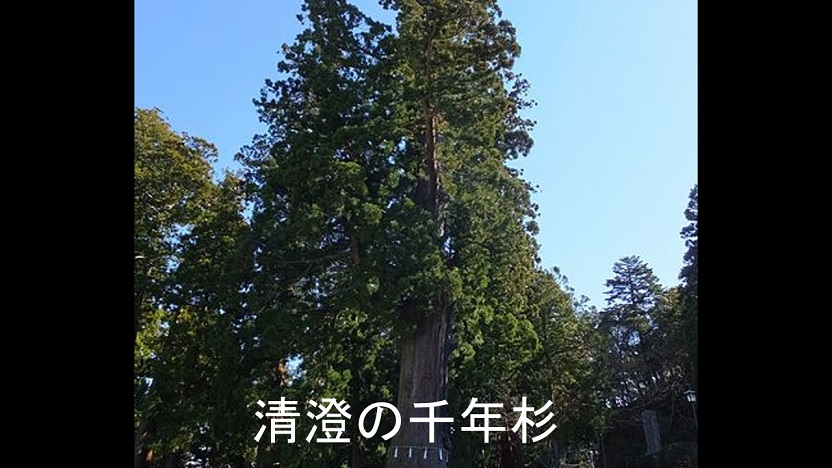 f:id:ek0901:20190808081539j:plain