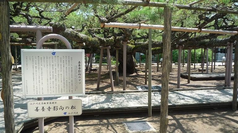 イメージ 21