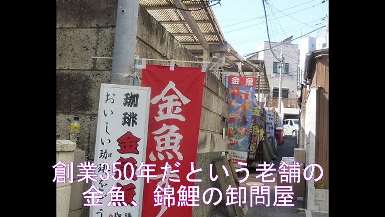 f:id:ek0901:20190820140714j:plain
