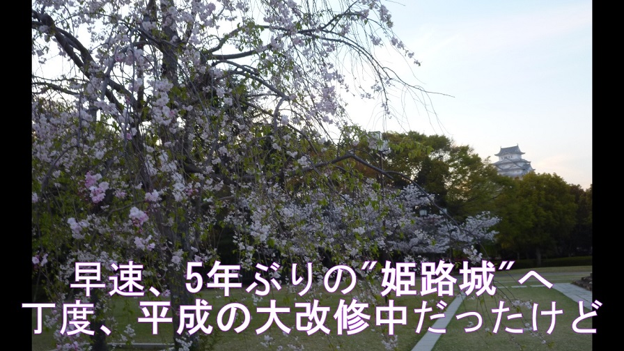 f:id:ek0901:20190827115157j:plain f:id:ek0901:20190827115157j:plain