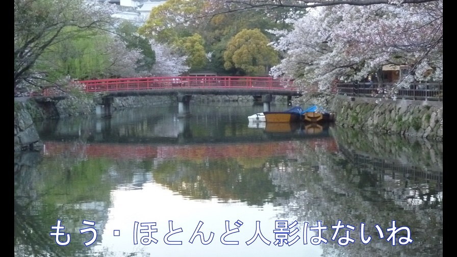 f:id:ek0901:20190827115438j:plain f:id:ek0901:20190827115438j:plain