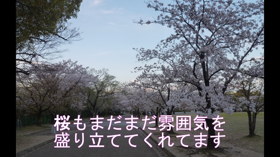 f:id:ek0901:20190827115511j:plain f:id:ek0901:20190827115511j:plain