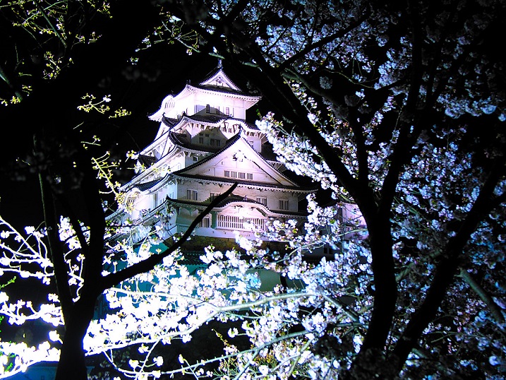 f:id:ek0901:20190827121002j:plain f:id:ek0901:20190827121002j:plain