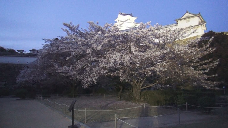 f:id:ek0901:20190902144550j:plain