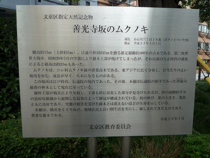 f:id:ek0901:20190921095702j:plain