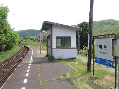 f:id:ek0901:20191121104536j:plain