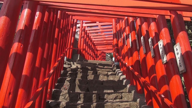 f:id:ek0901:20191121105721j:plain