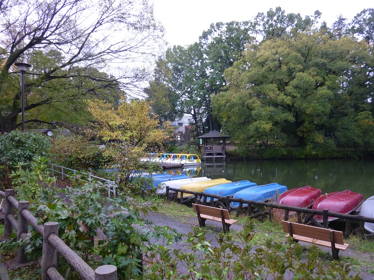 f:id:ek0901:20191130102414j:plain