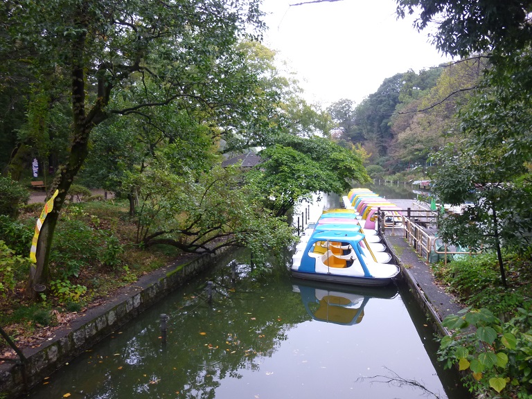 f:id:ek0901:20191130102504j:plain