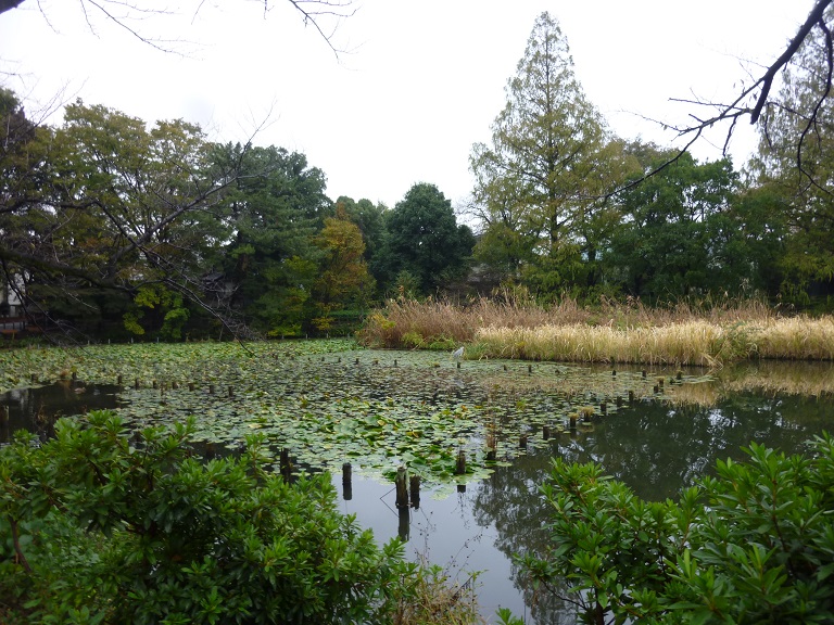 f:id:ek0901:20191130102519j:plain