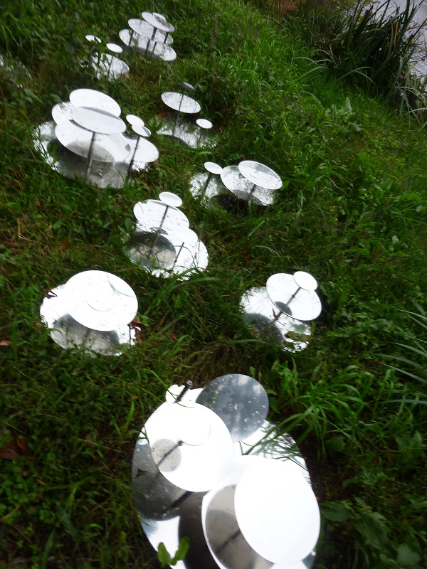 f:id:ek0901:20191130102624j:plain