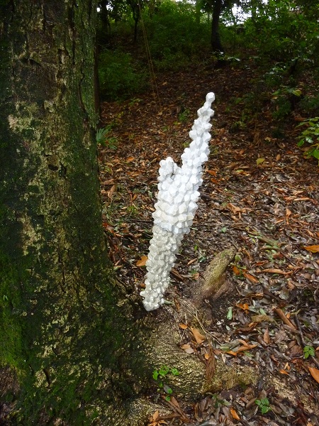 f:id:ek0901:20191130102738j:plain