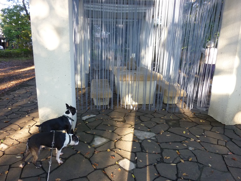 f:id:ek0901:20191130103216j:plain