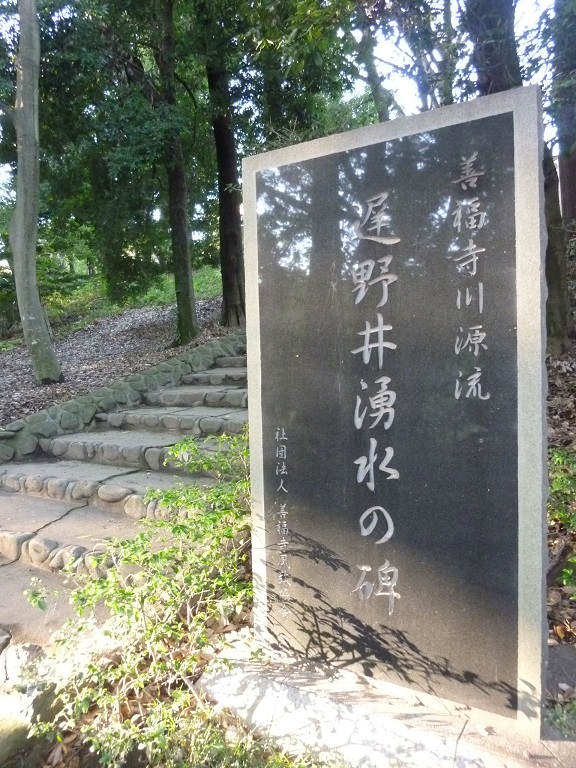 f:id:ek0901:20191130103239j:plain