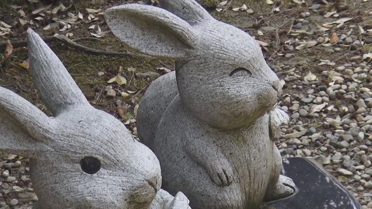 f:id:ek0901:20191217112611j:plain