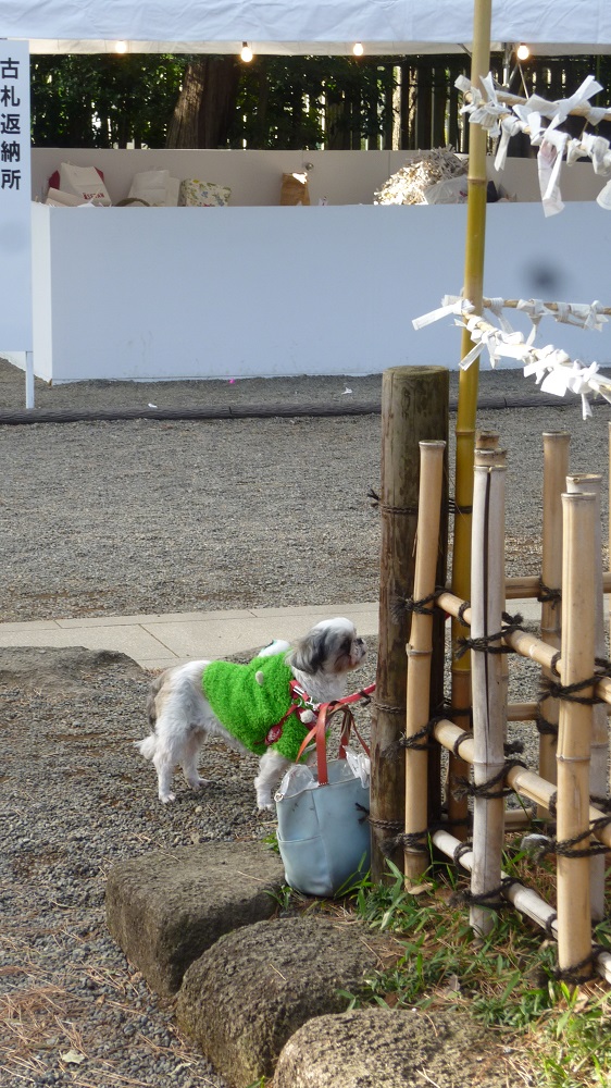 f:id:ek0901:20200107105948j:plain f:id:ek0901:20200107105948j:plain