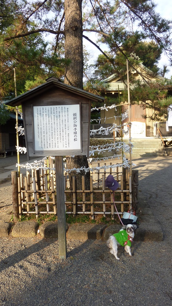 f:id:ek0901:20200107110324j:plain f:id:ek0901:20200107110324j:plain