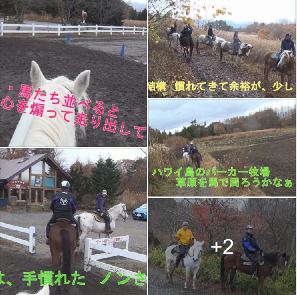 f:id:ek0901:20200124150256p:plain