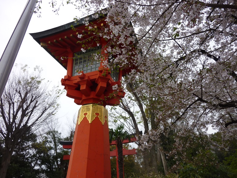 f:id:ek0901:20200401074556j:plain