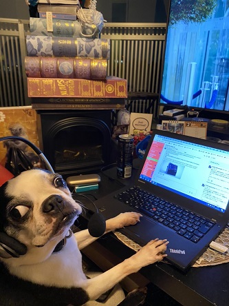 f:id:ek0901:20200401074715j:plain