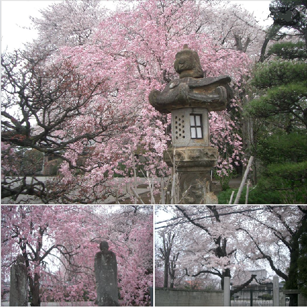 f:id:ek0901:20200404085330p:plain f:id:ek0901:20200404085330p:plain