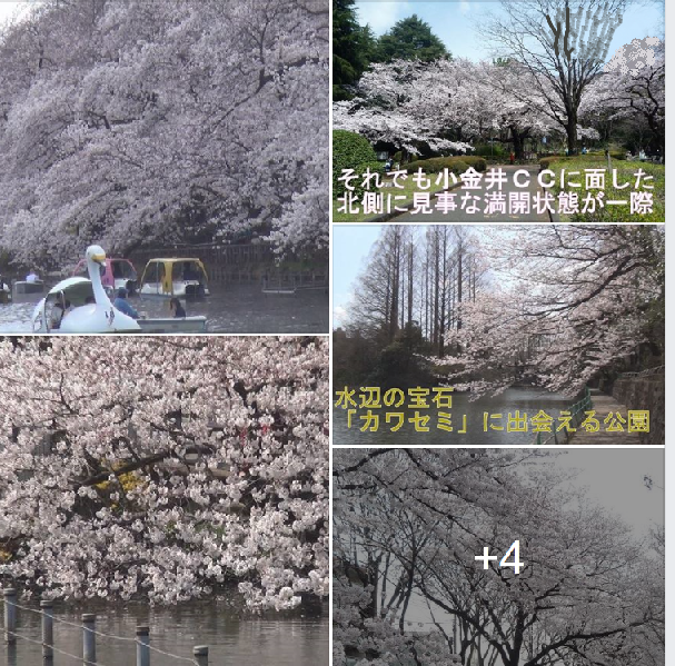 f:id:ek0901:20200409085053p:plain f:id:ek0901:20200409085053p:plain