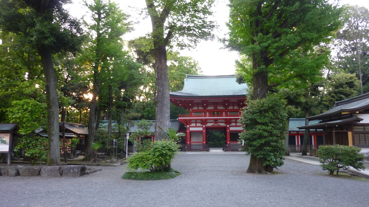 f:id:ek0901:20200501093050j:plain f:id:ek0901:20200501093050j:plain