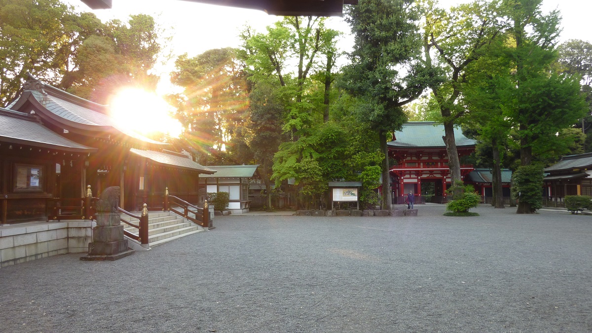 f:id:ek0901:20200501093253j:plain f:id:ek0901:20200501093253j:plain