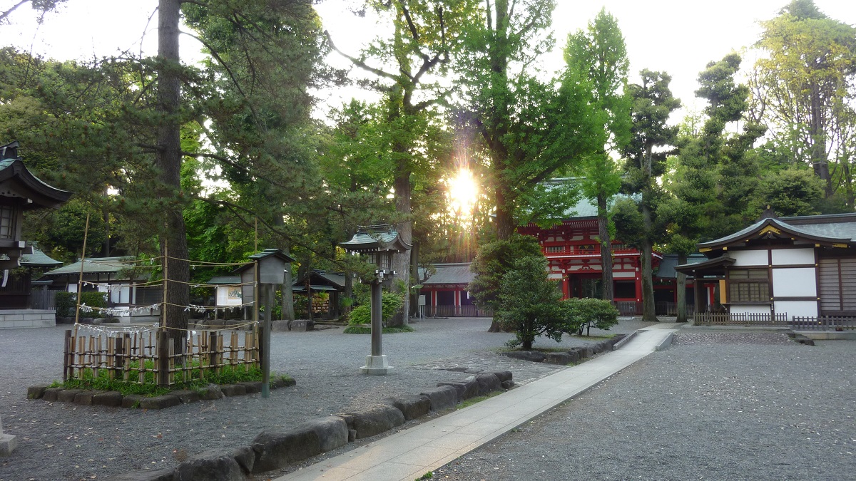 f:id:ek0901:20200501093332j:plain f:id:ek0901:20200501093332j:plain