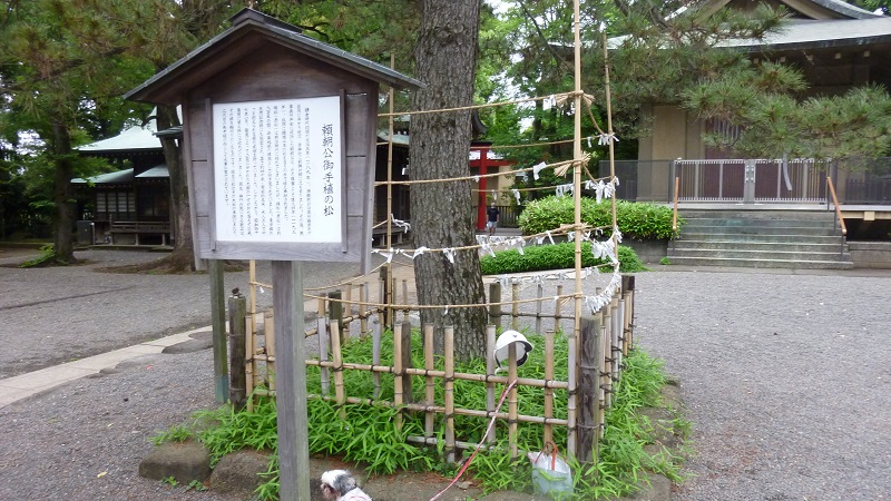 f:id:ek0901:20200601065555j:plain