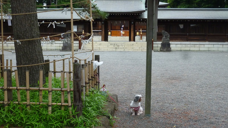 f:id:ek0901:20200601065633j:plain