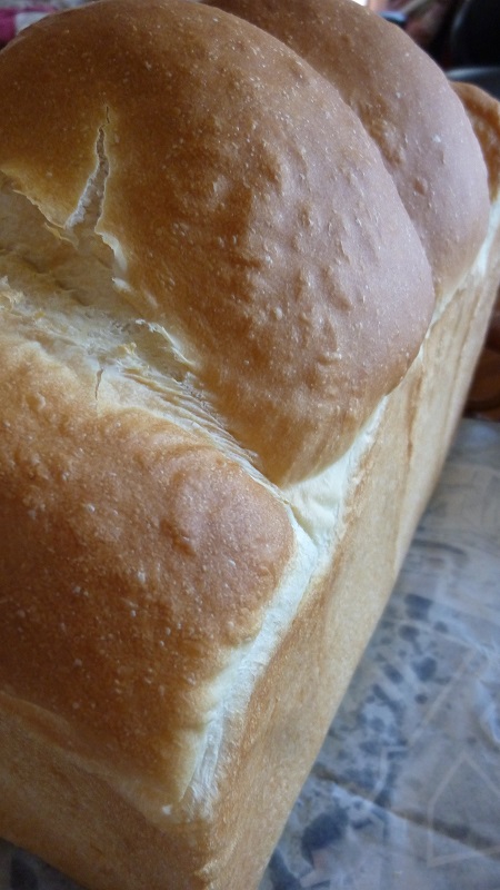 f:id:ek0901:20200613145911j:plain