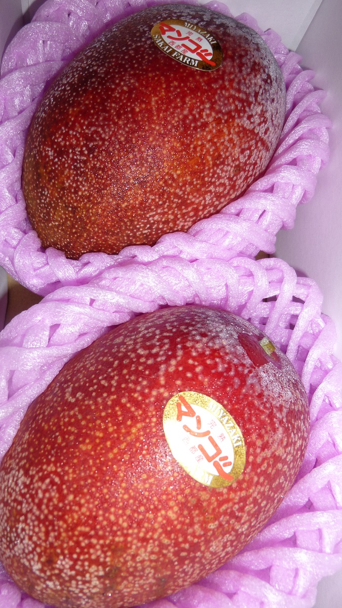 f:id:ek0901:20200705105339j:plain