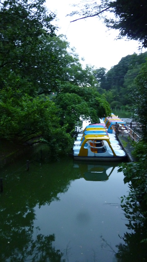 f:id:ek0901:20200804160115j:plain