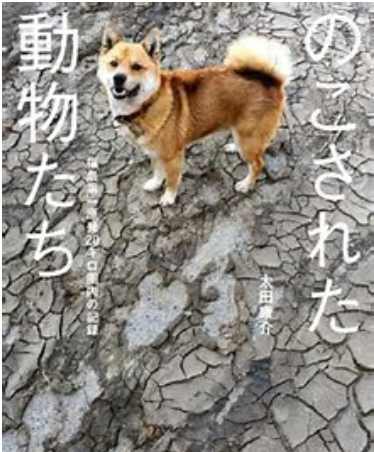f:id:ek0901:20200915081055p:plain