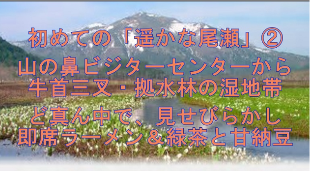f:id:ek0901:20201005083510p:plain
