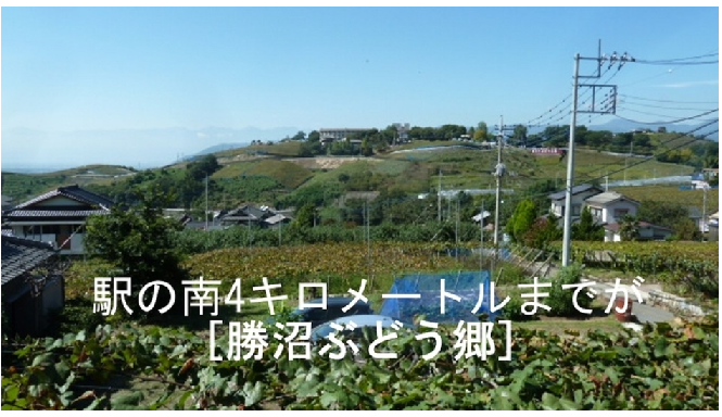 f:id:ek0901:20201006102001p:plain f:id:ek0901:20201006102001p:plain