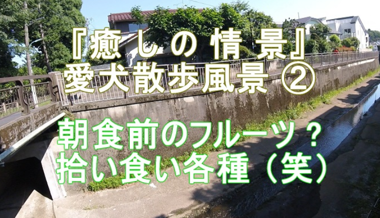 f:id:ek0901:20201006102212p:plain f:id:ek0901:20201006102212p:plain