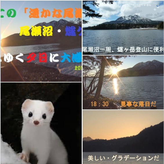 f:id:ek0901:20201013141707p:plain